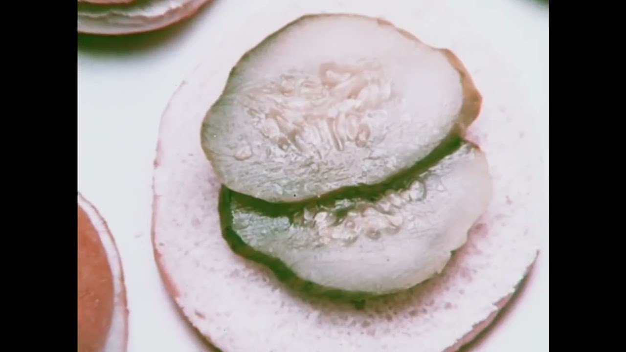 SKINNY BURGER - image 1