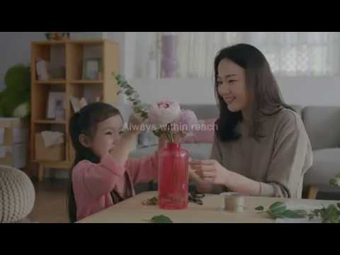 FIREVASE - image 2