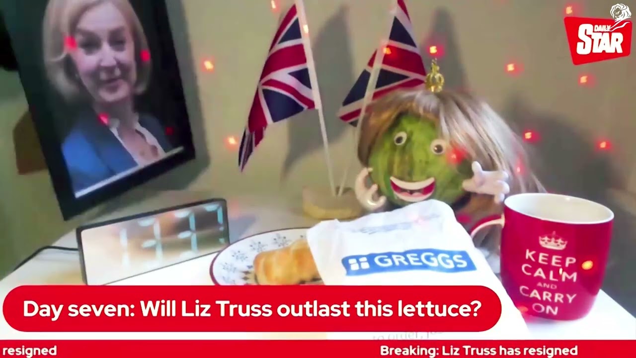 LETTUCE LIZ - image 1