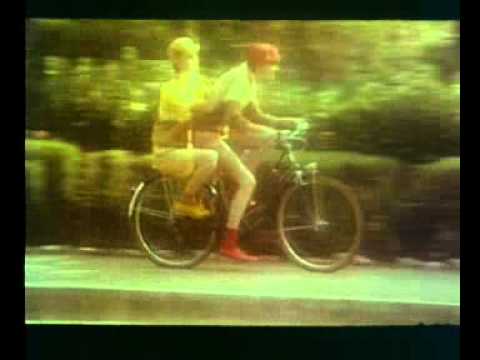 LES VELOS - image 2