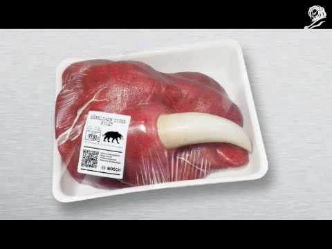 FRESH STONE-AGE-MEAT - image 2