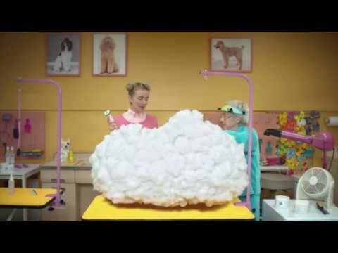 GROOMER - image 2