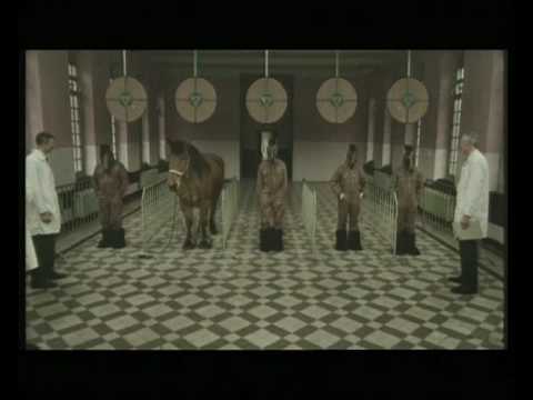 JOCKEY - image 2
