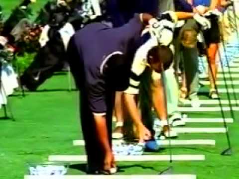 DRIVING RANGE - image 2