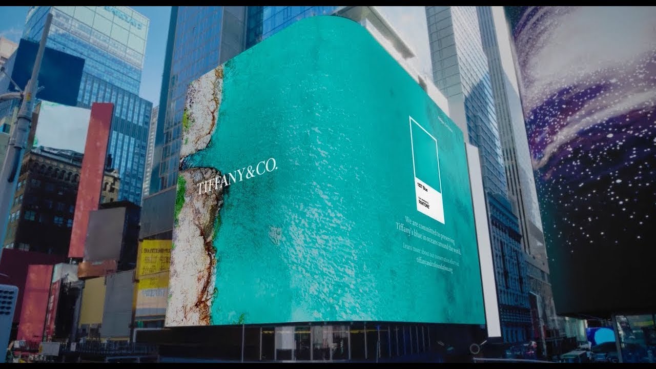 1837 Tiffany Blue Conservation - image 3