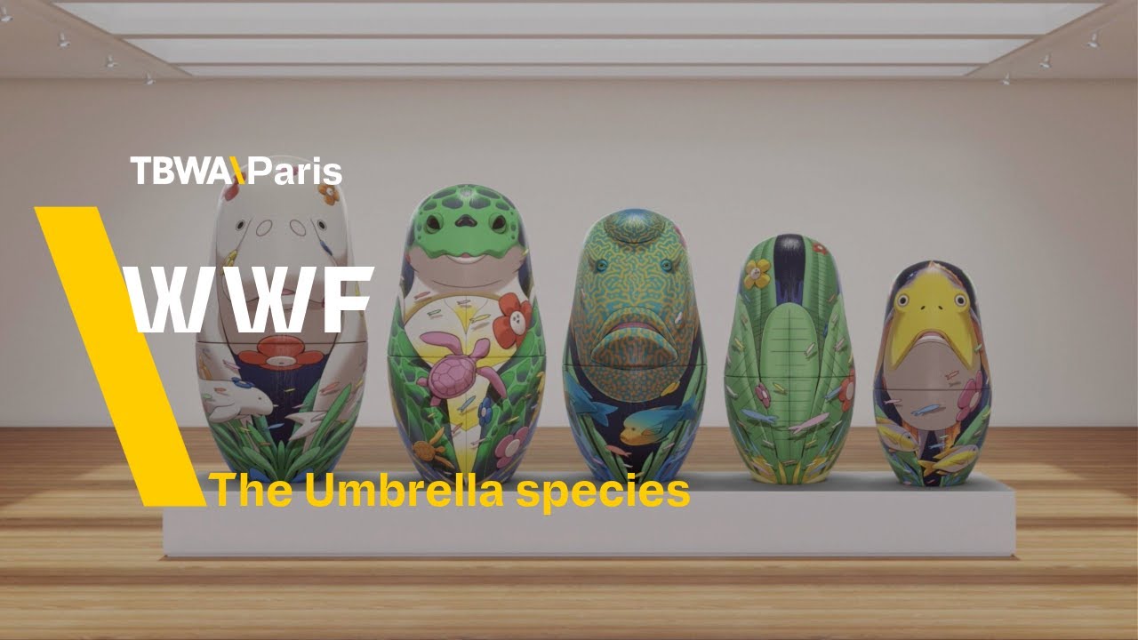 UMBRELLA SPECIES - image 1