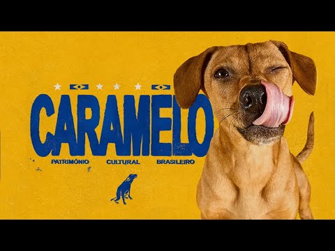 Pedigree Caramelo - image 2