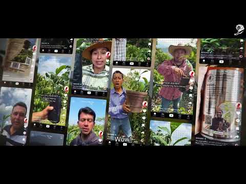 PLANTLETS FOR FUTURE - image 2