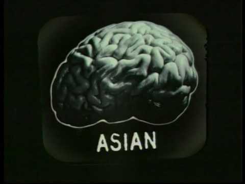 BRAINS - image 2