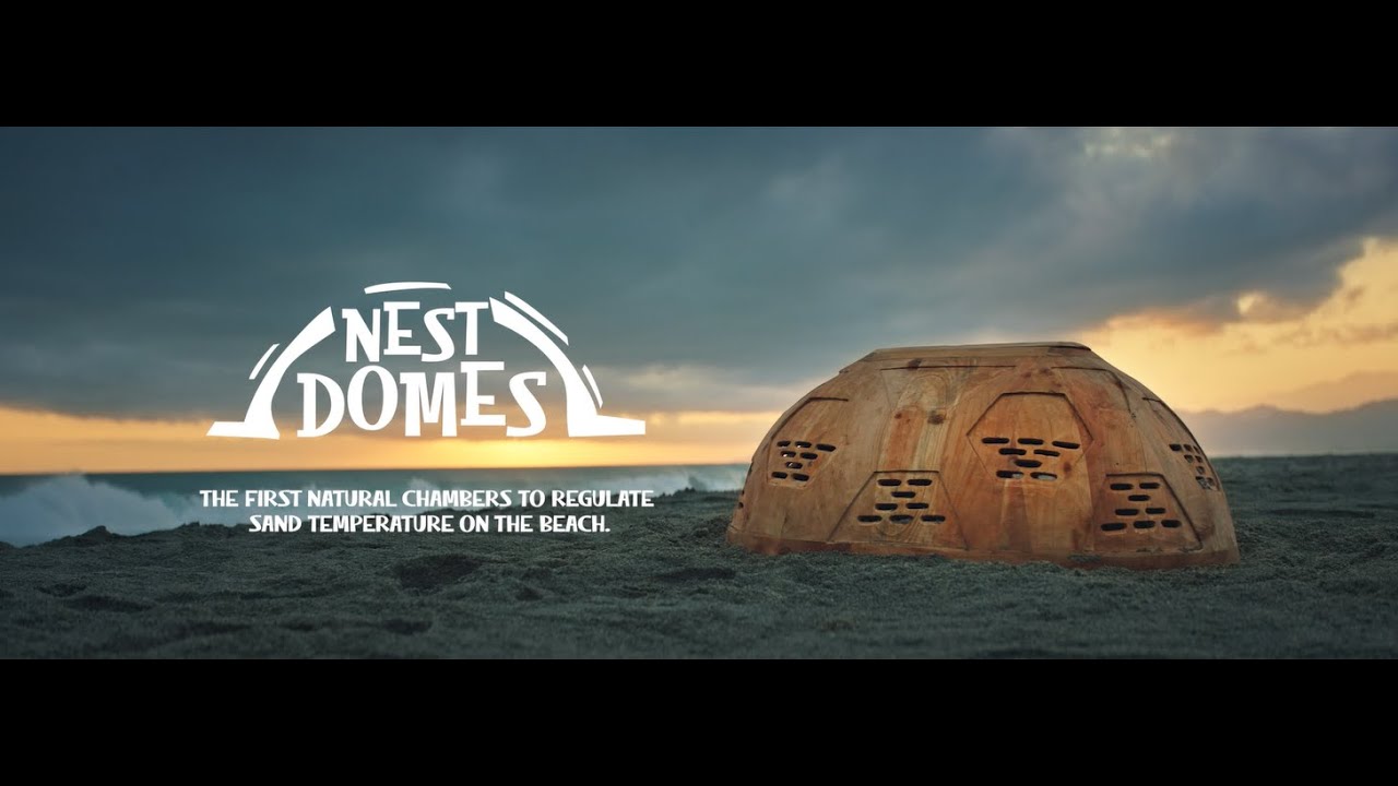 NEST DOMES - image 1