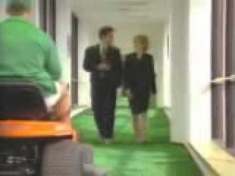 TURF - image 2