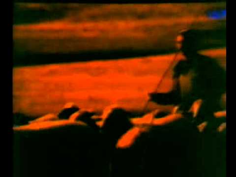 BLACK SHEEP - image 2
