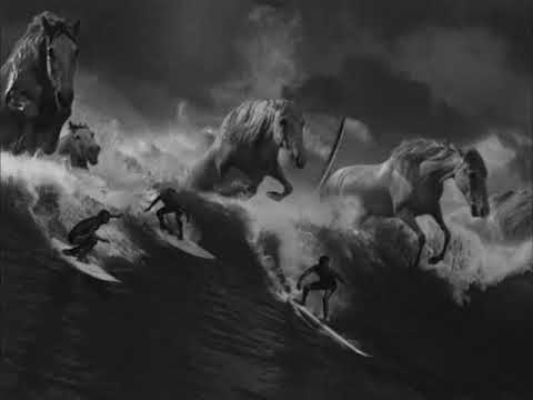 SURFER - image 2