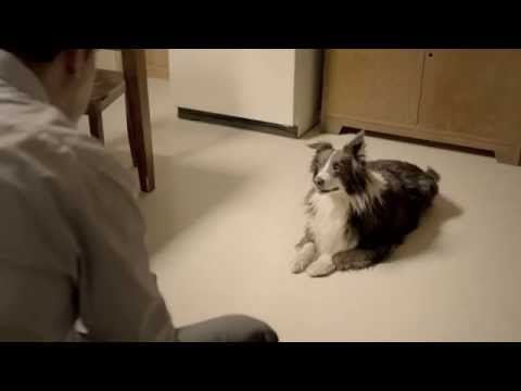 WE HAVE TO TALK - image 2