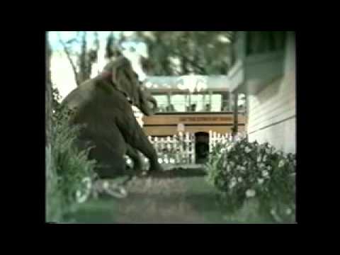 ELEPHANT - image 2