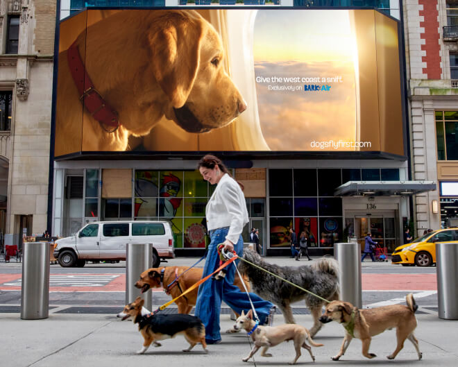 BARK AIR LAUNCH