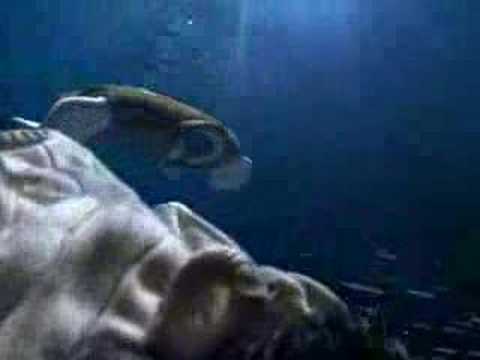 UNDERWATER WORLD