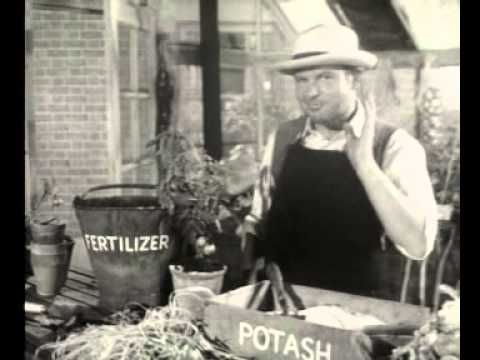 GARDENING ADVICE