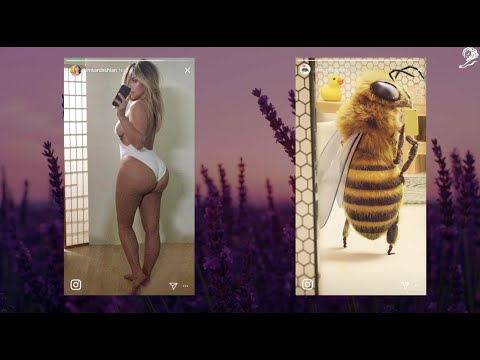 BEE_INFLUENCER