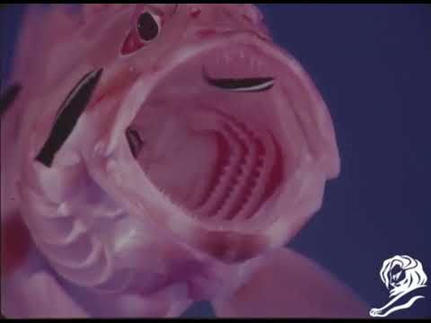 MOUTH CLEANING