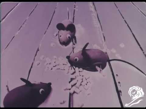 MICE