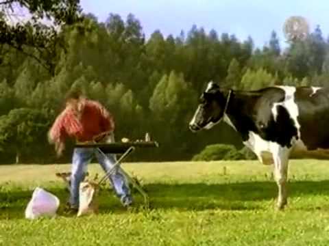 COW