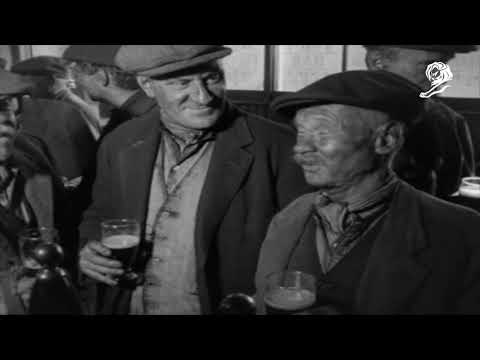 NO BOLLOCKS MINERS