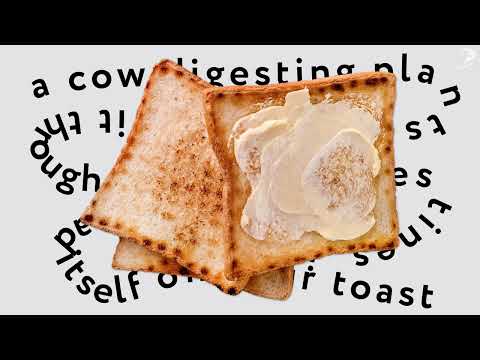 SKIP THE COW