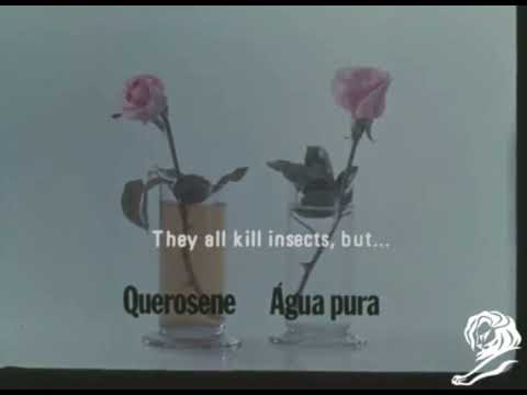 WATER AND KEROSENE