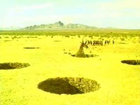 SYNTHETOCERAS