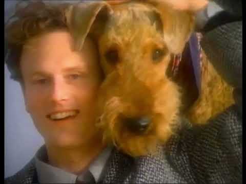 PHOTO SESSION: AIREDALE