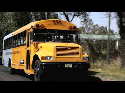 NON VIOLENCE BUS