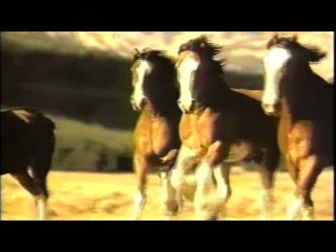 CLYDESDALE
