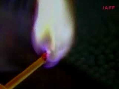 RAIN FOREST BURN