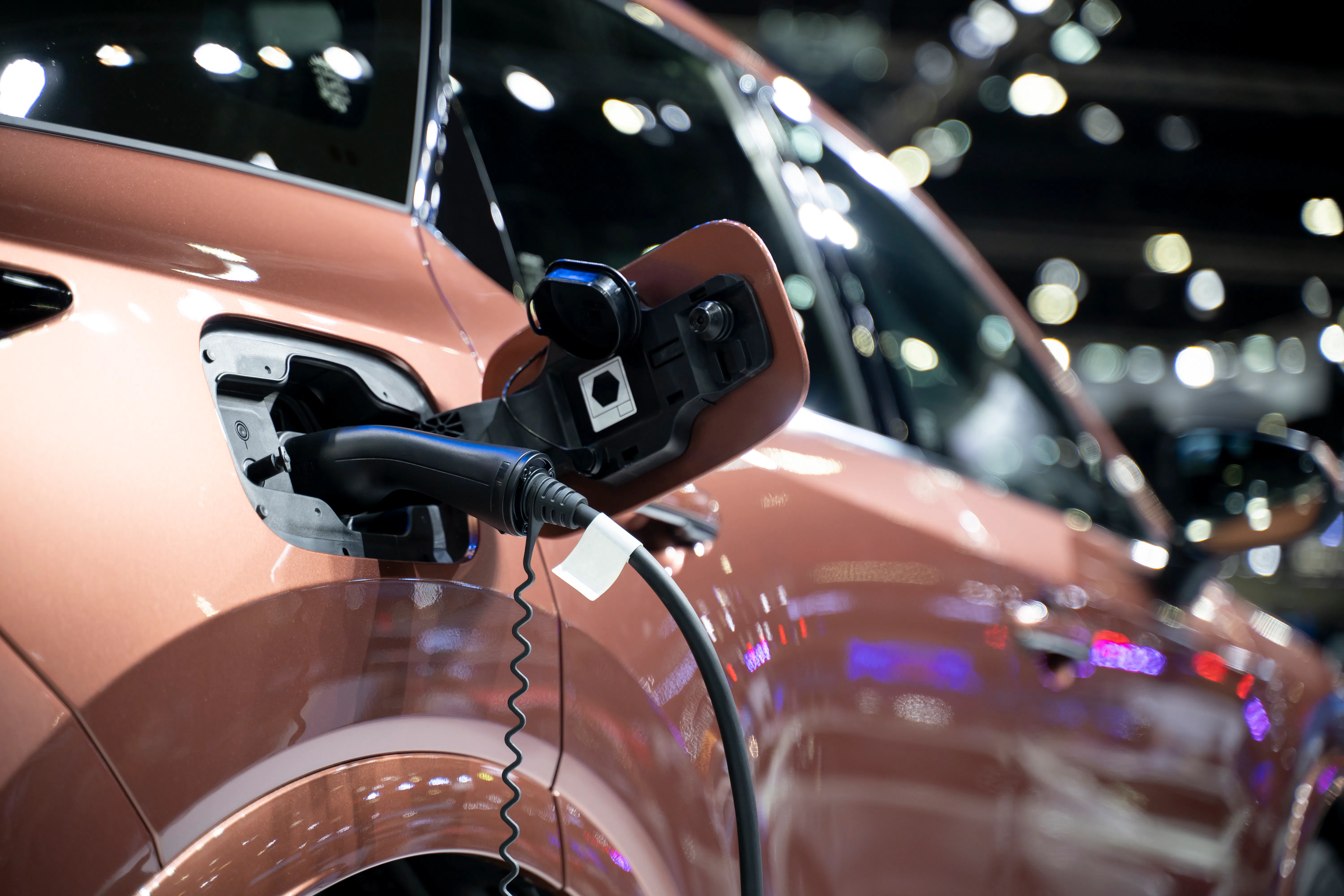 EVS ON SCREEN