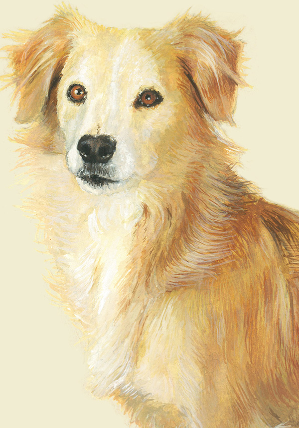 UNIQUE BREEDS