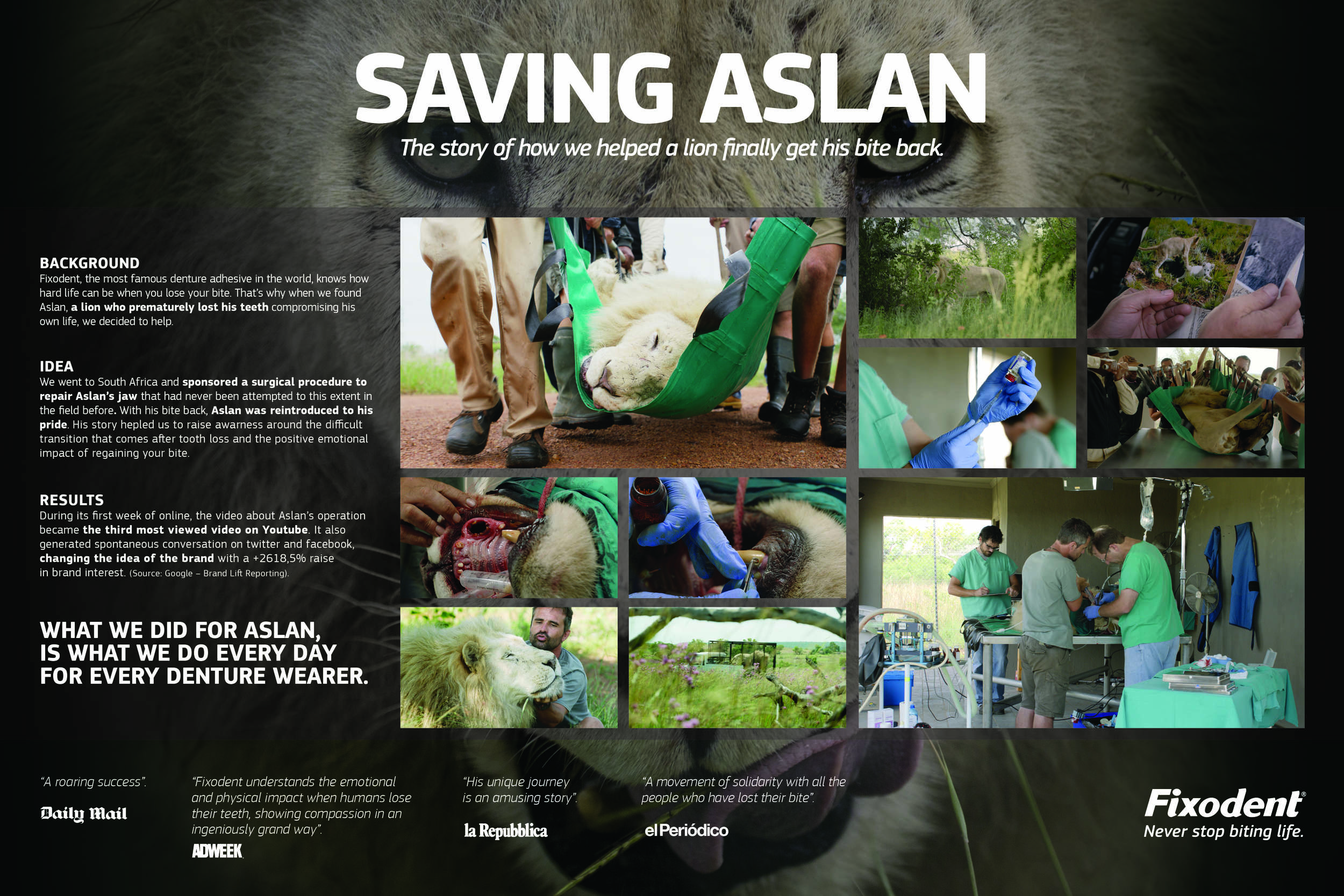 SAVING ASLAN