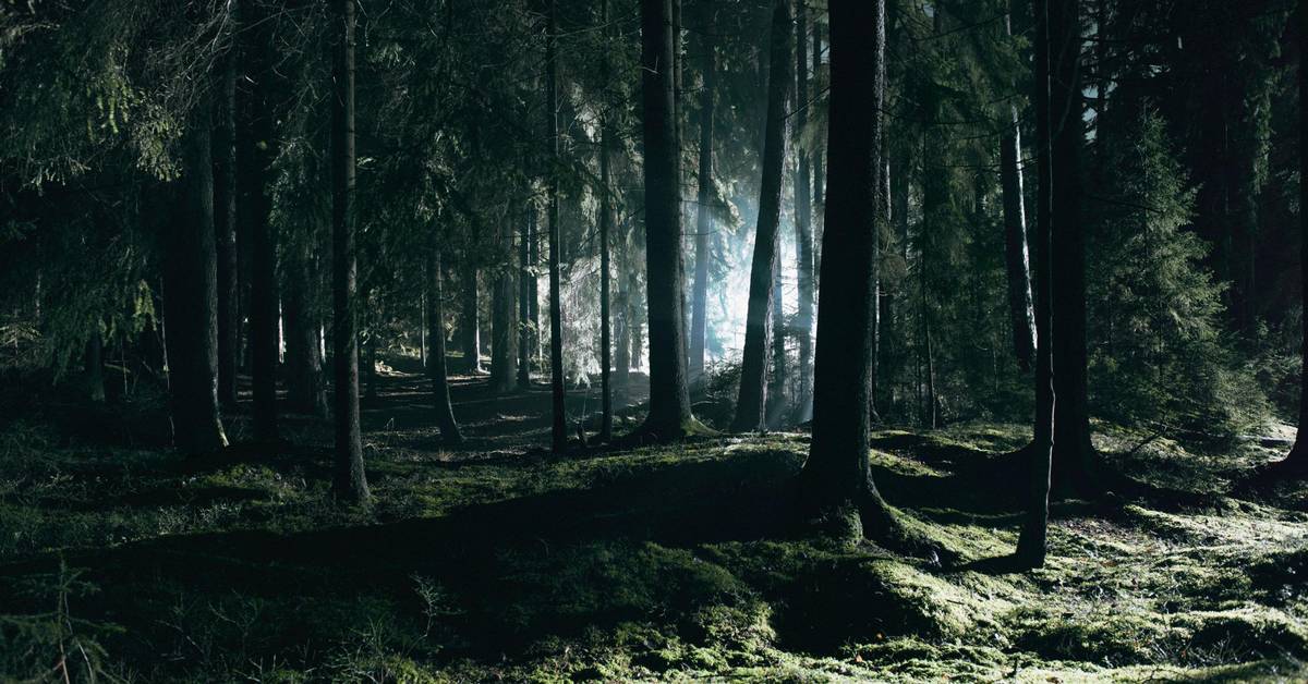 SPELLBOUND BY SWEDEN