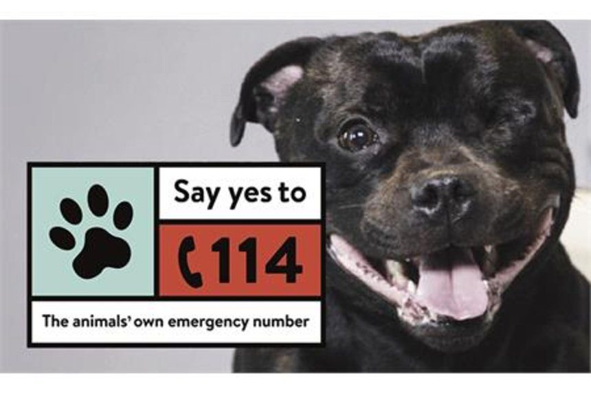 THE ANIMALS’ OWN EMERGENCY NUMBER - image 1