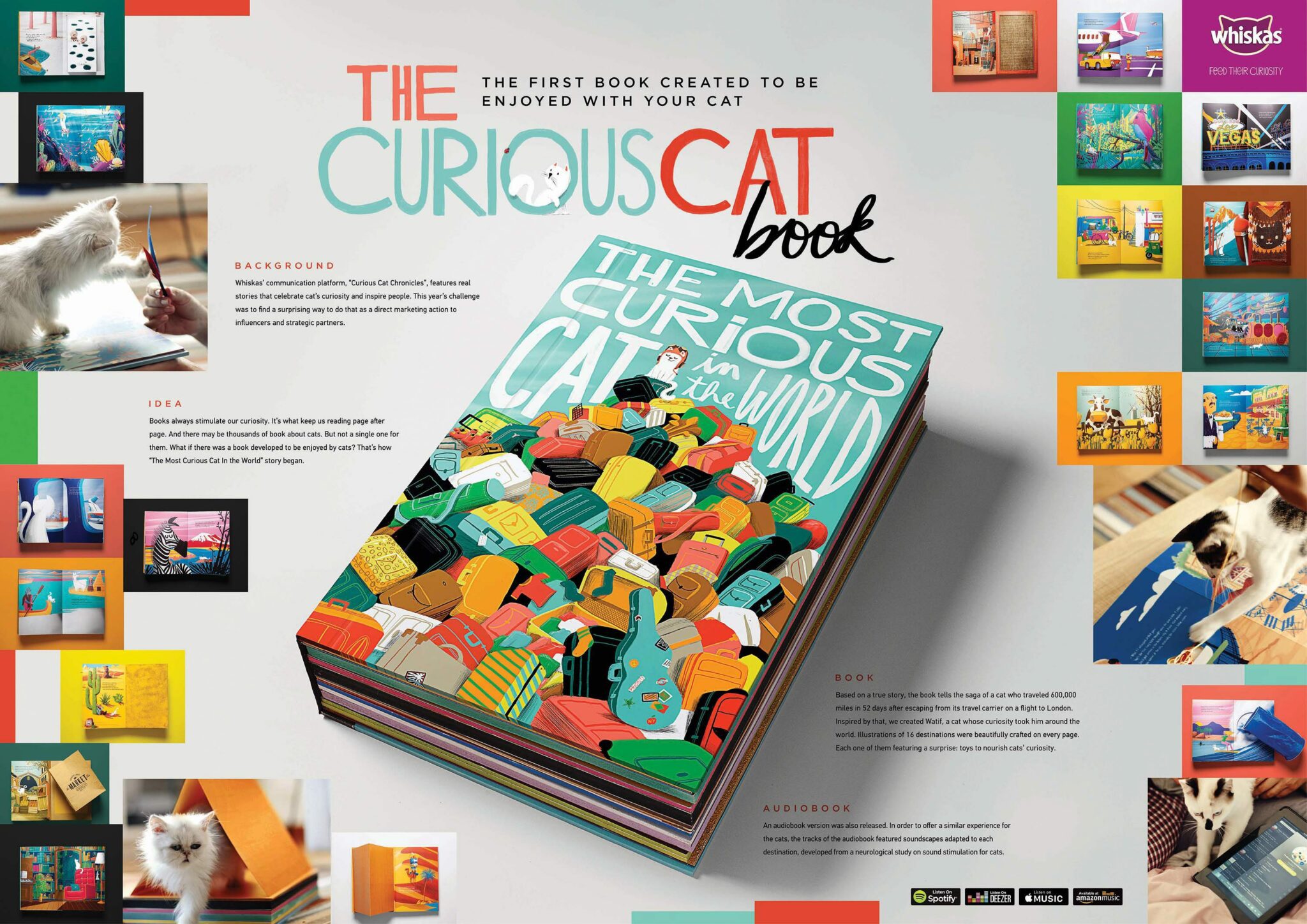 THE CURIOUS CAT BOOK - image 1