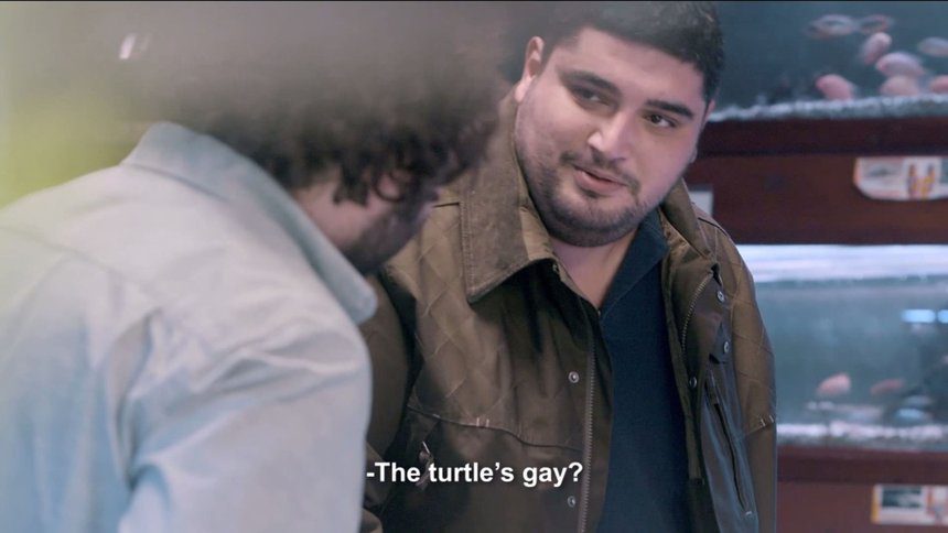 GAY TURTLE - image 1
