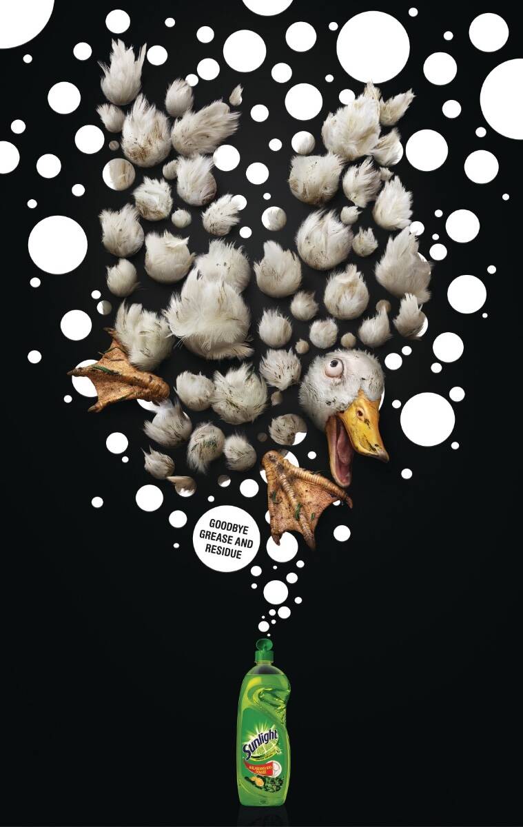 DUCK, SQUID, PIG - image 1