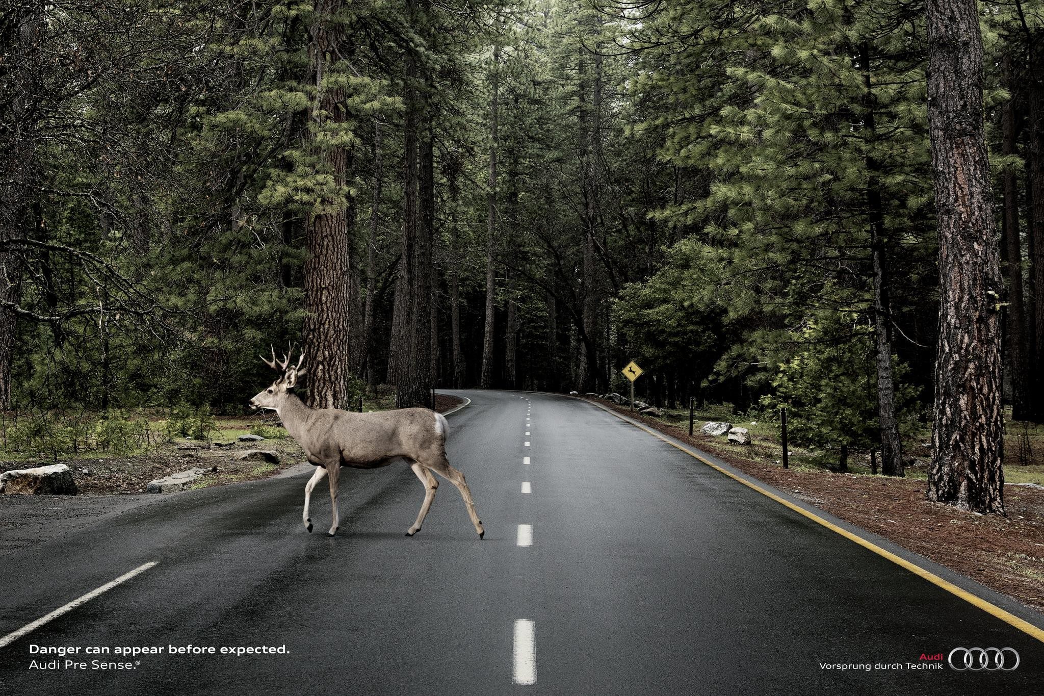 MOOSE, CHILD - image 1