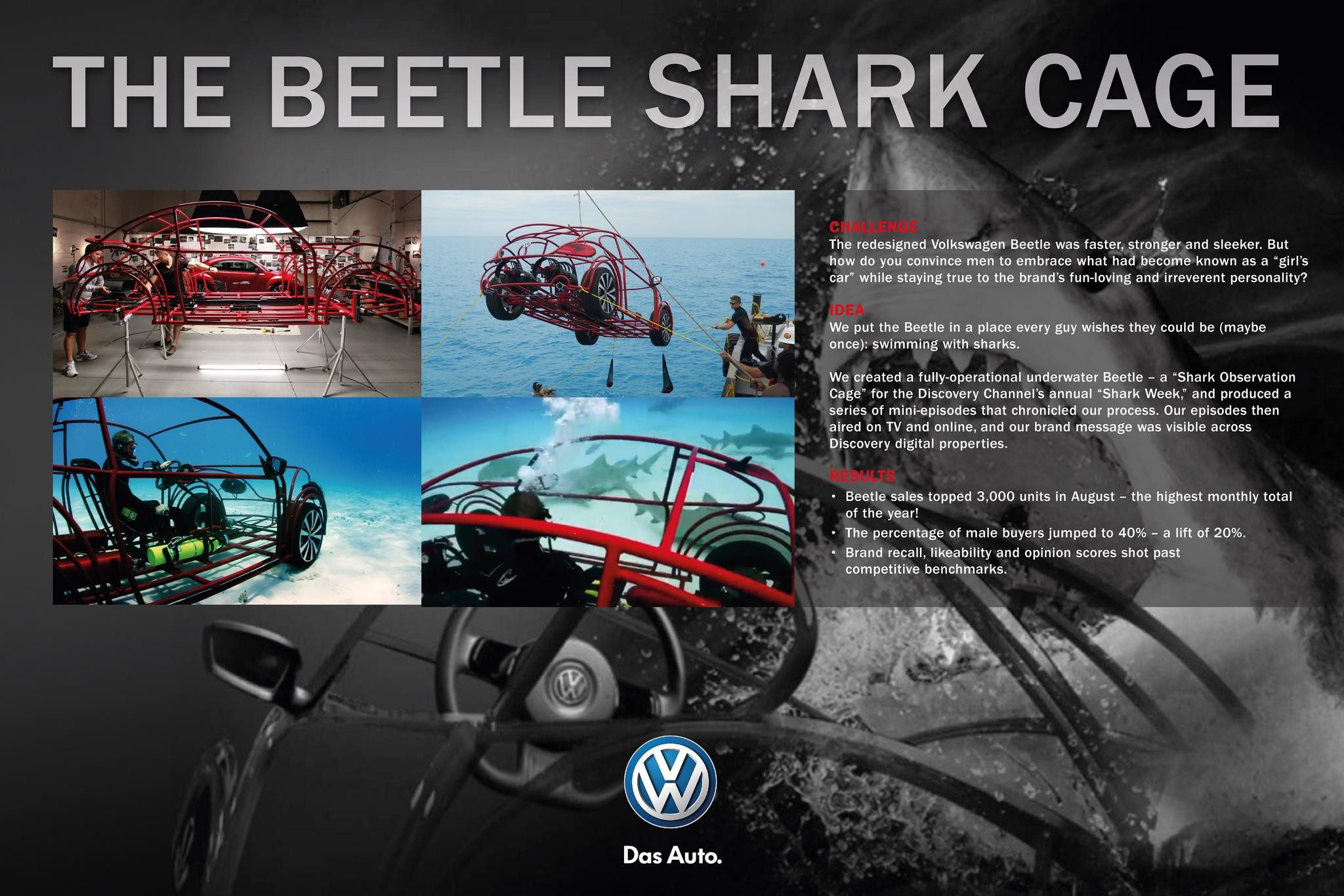 THE BEETLE SHARK CAGE - image 1