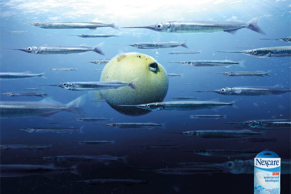 GLOBEFISH, OCTOPUS, SPEARFISH - image 1